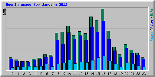 Hourly usage for January 2012